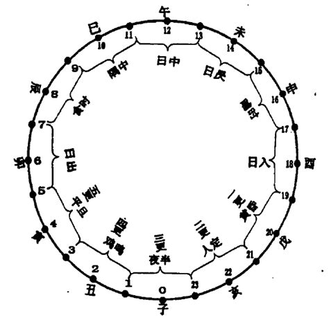 地支|地支:簡介,乾支關係,藏乾,歌訣,各種類象,地理類象,人物。